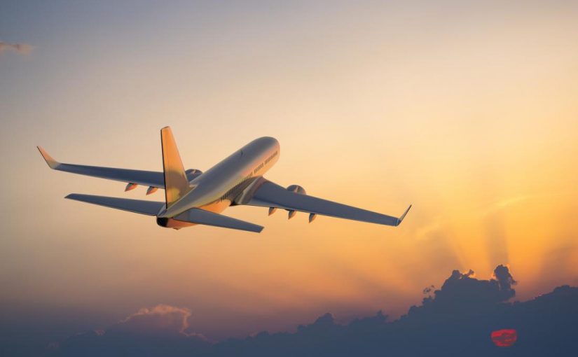 Free Travel Invoice Format Template